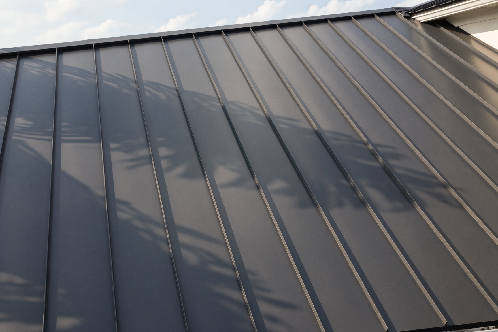 Standing-seam metal roof with a palm shadow across the panels